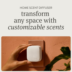 Drift Teak Diffuser front view showcases elegant wood finish and sleek silhouette.