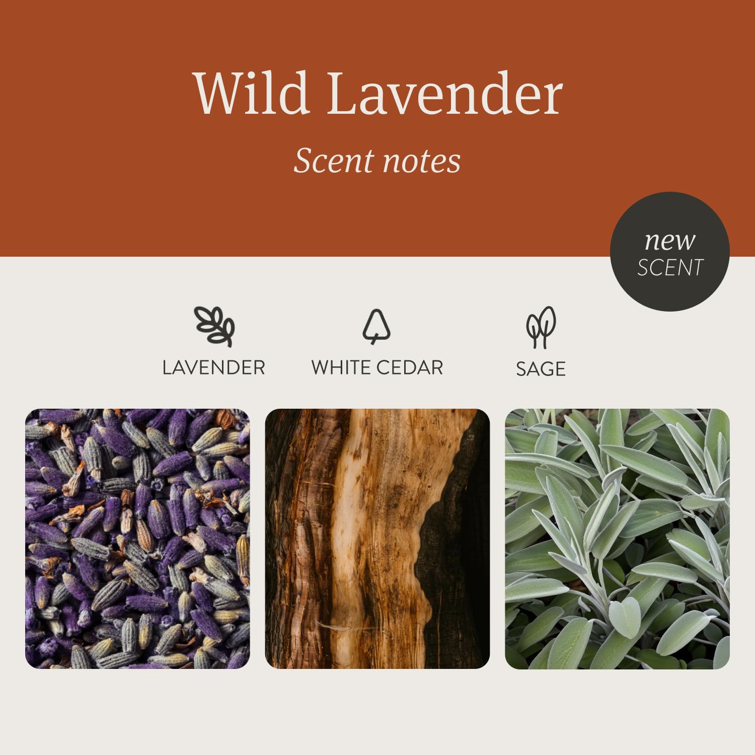 Drift Wild Lavender candle side profile with smooth finish