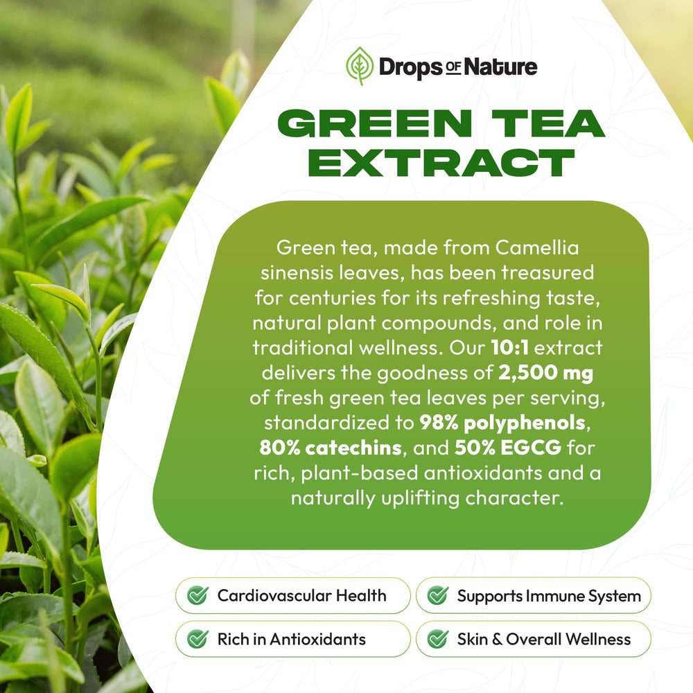 Drops Of Nature Green Tea 10:1 Extract in-use drops demonstrating convenient daily ritual.