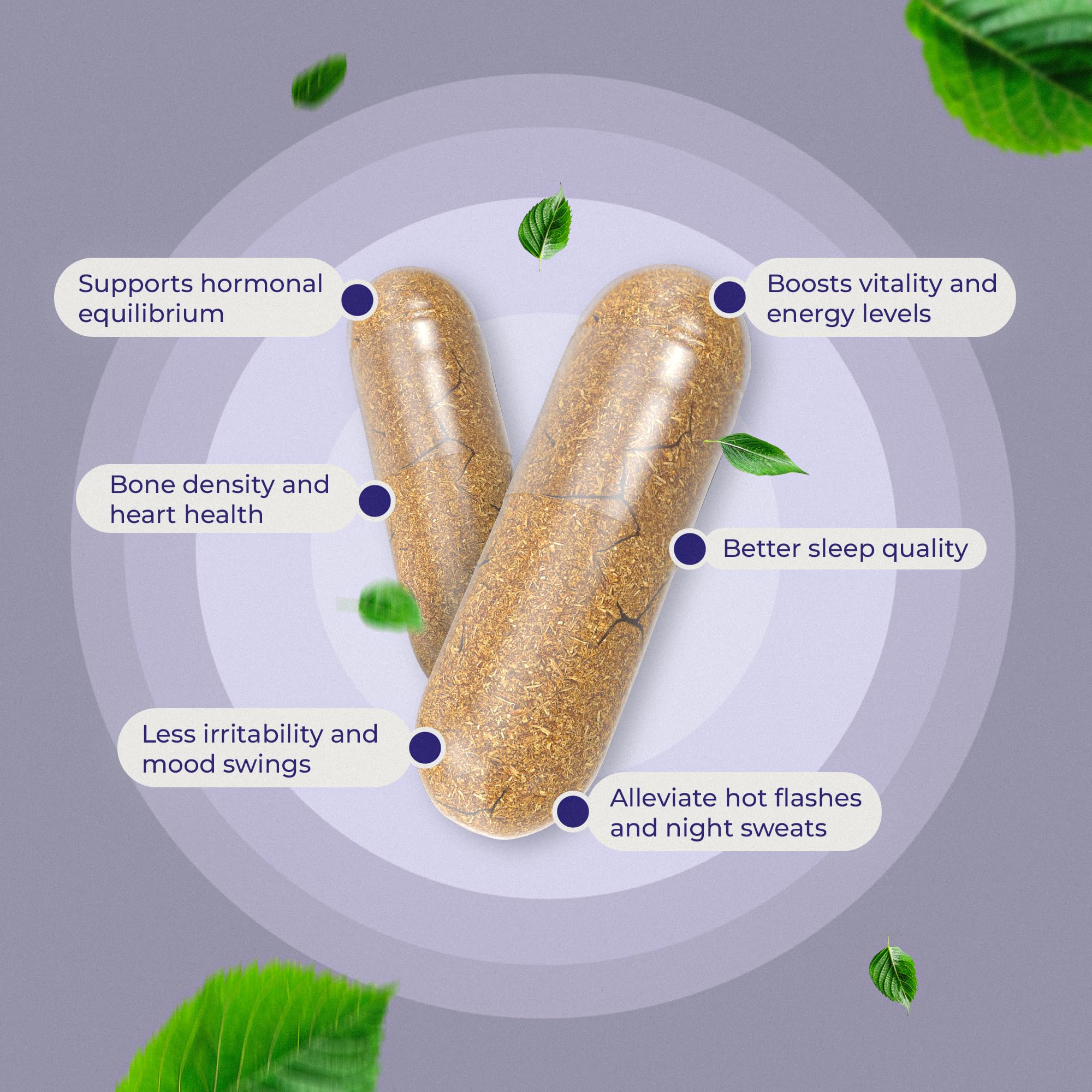 DS Nutrition chasteberry and blessed thistle herbs signal natural balance.
