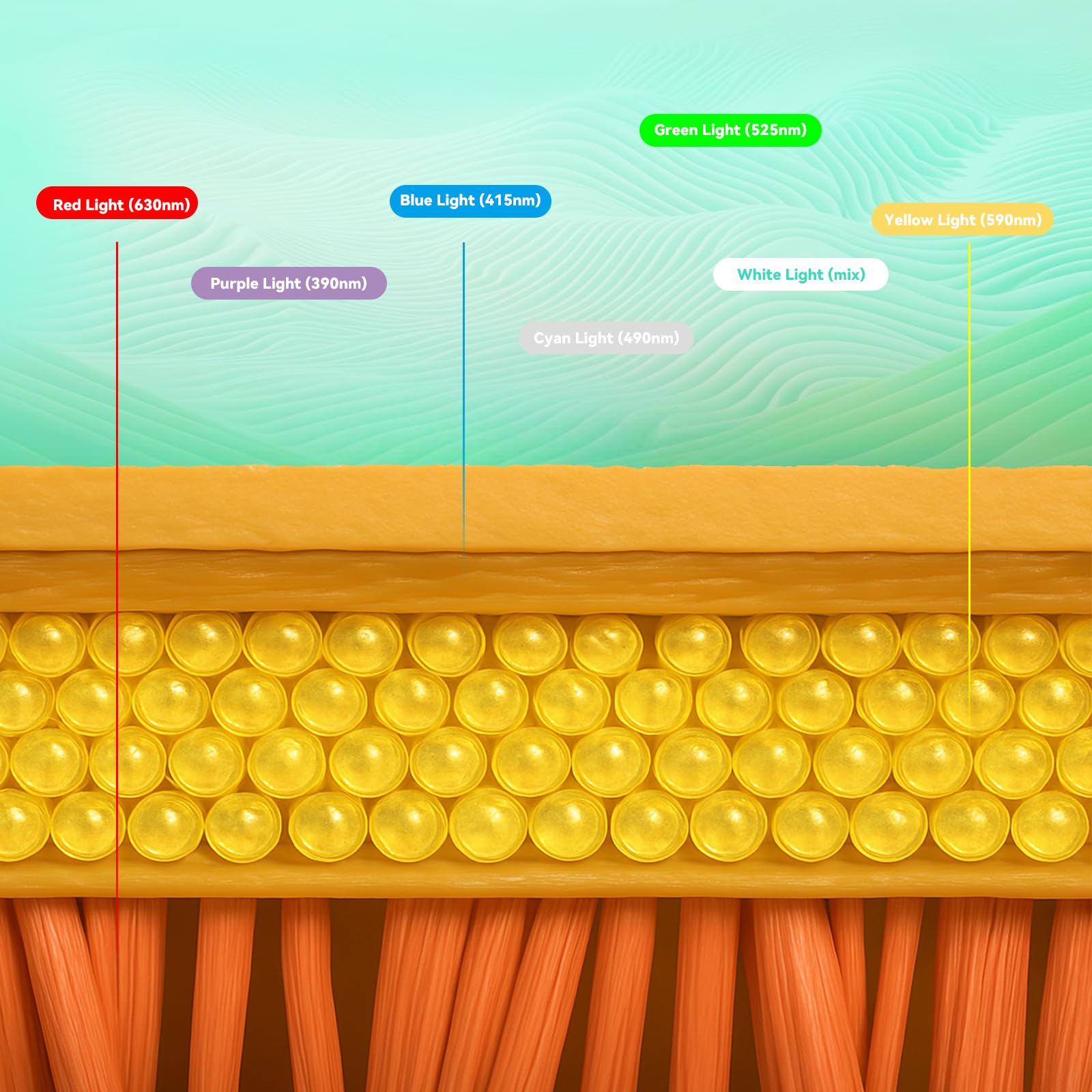 Duevie blue-red-orange spectrum illustrating multiple wavelengths for tailored care