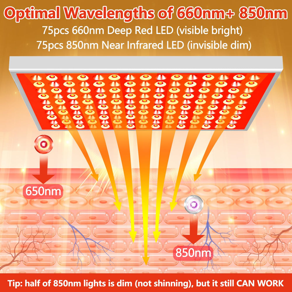 DUGSDG 850nm near-infrared LEDs for deeper penetration and circulation support.