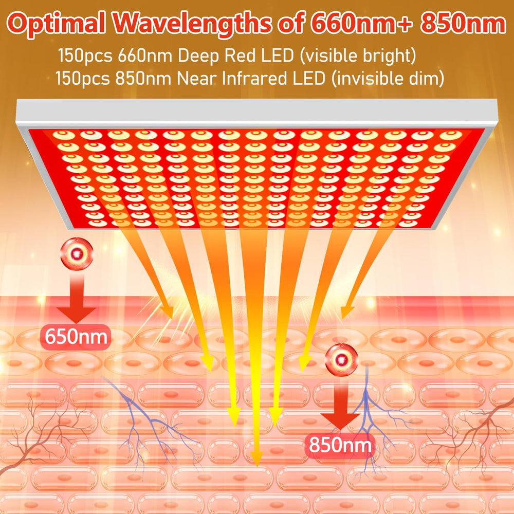 DUGSDG skin-rejuvenation focus facial use with red light for smoother texture.