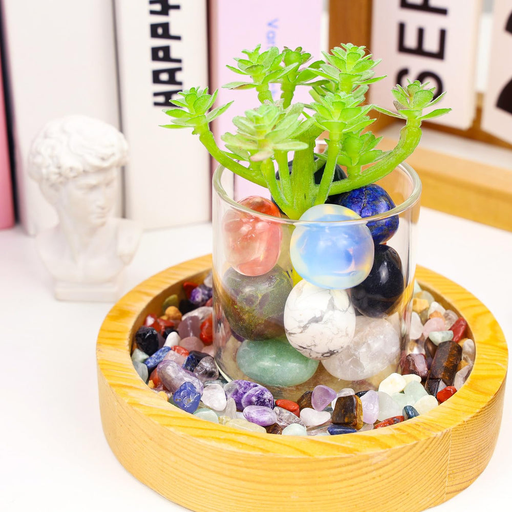DUQGUHO aquarium and terrarium stones—colorful accents for habitats