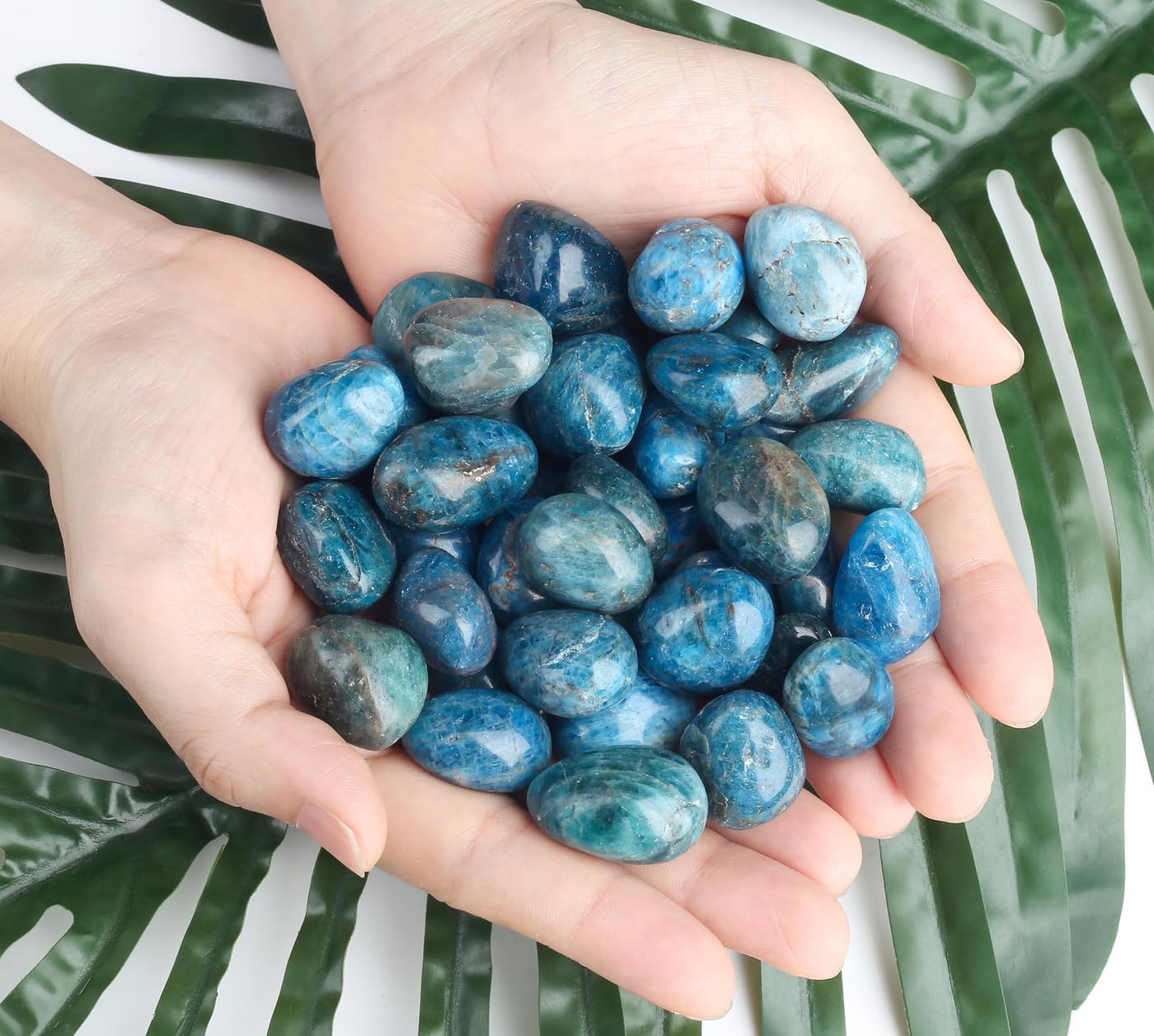 DUQGUHO Blue Apatite decor for aquariums or terrariums and water features.