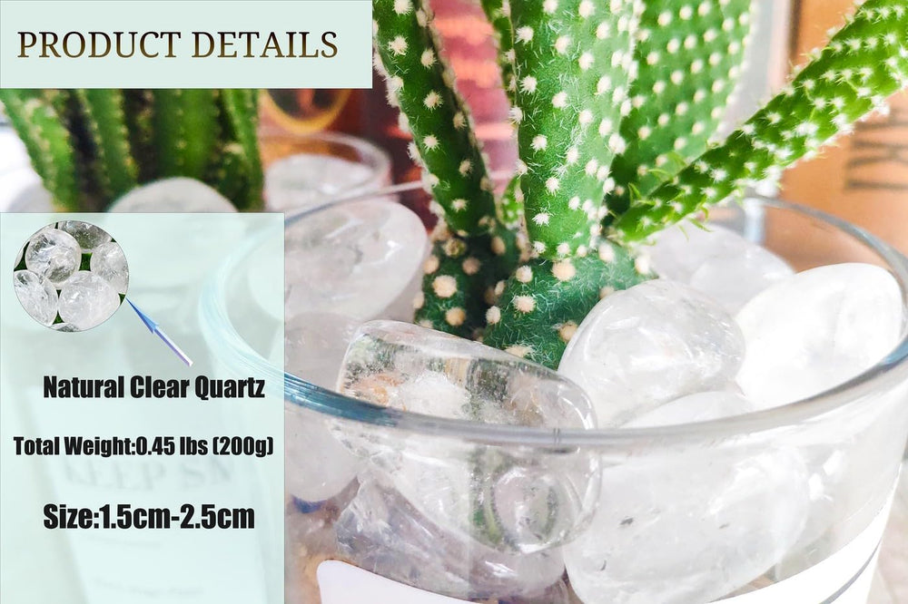 DUQGUHO stones ideal for vase filler and desk decor