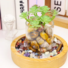 DUQGUHO Crazy Lace Agate stones used as aquarium gravel decorative accents