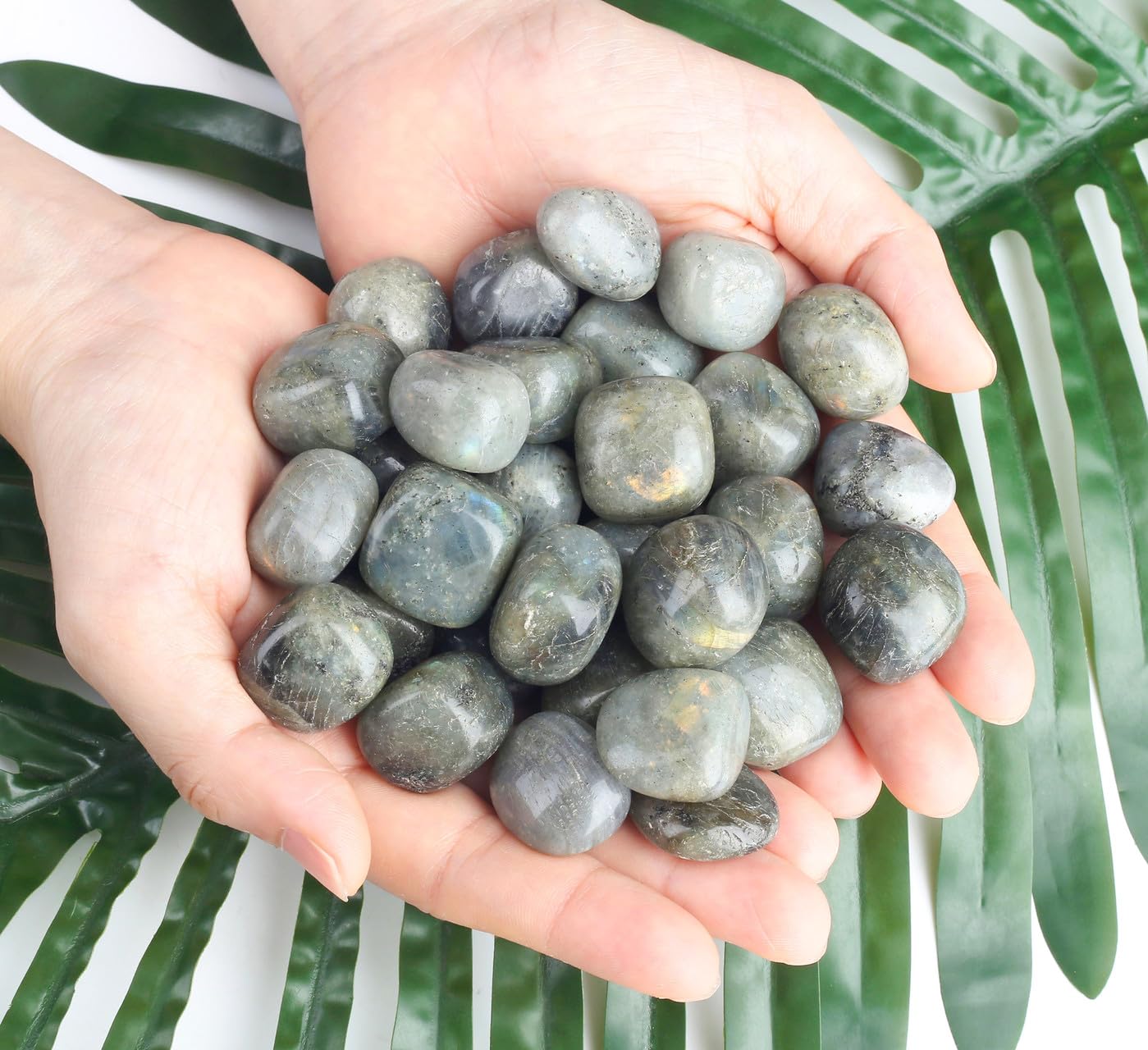 DUQGUHO Decorative terrarium and aquarium stones for natural accents.