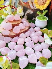 DUQGUHO Irregular rose quartz crystals as decorative accents catching sunlight.