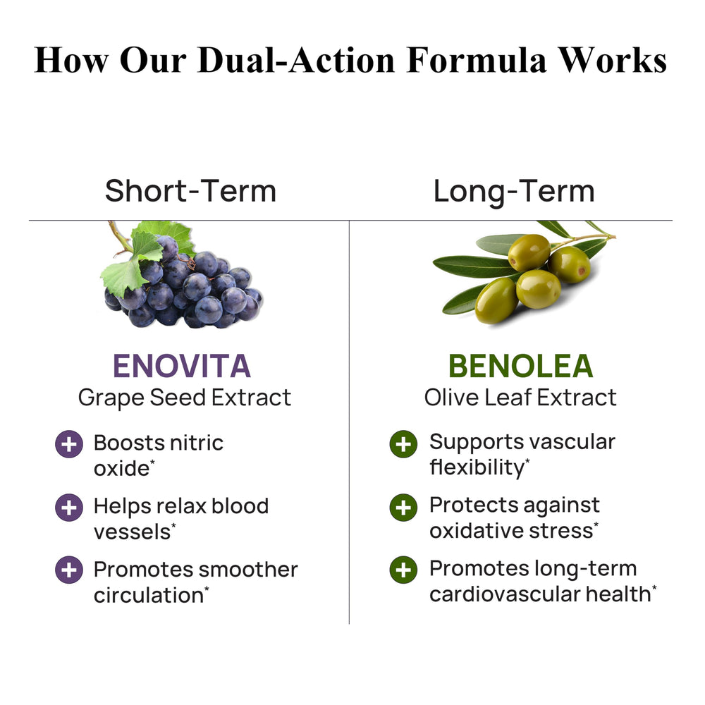 Durable Enovita grape seed extract label highlighting 85% OPCs for healthy vessel function.