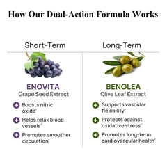 Durable Enovita grape seed extract label highlighting 85% OPCs for healthy vessel function.