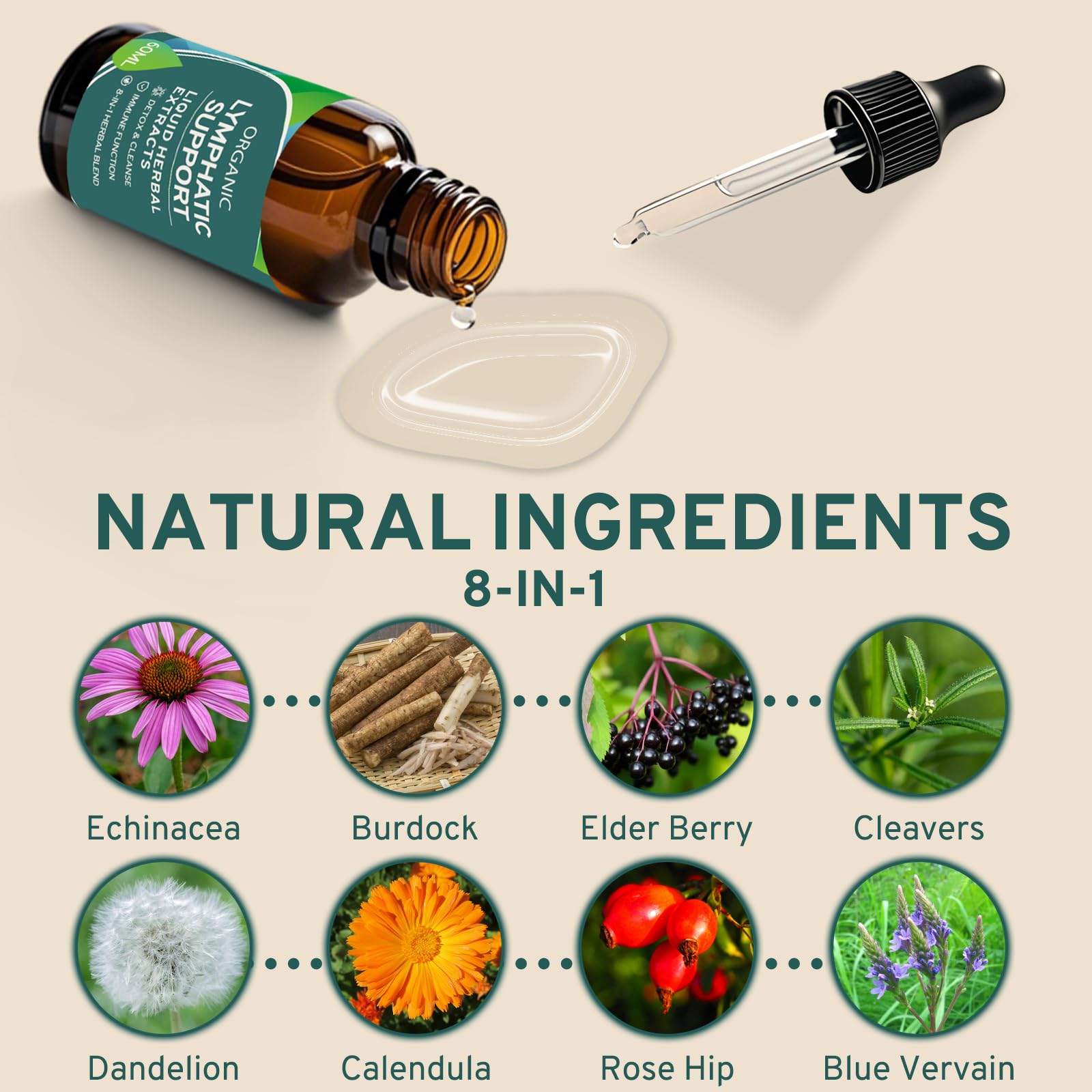 DUTYDiAG herbal blend ingredients overview including elderberry and dandelion
