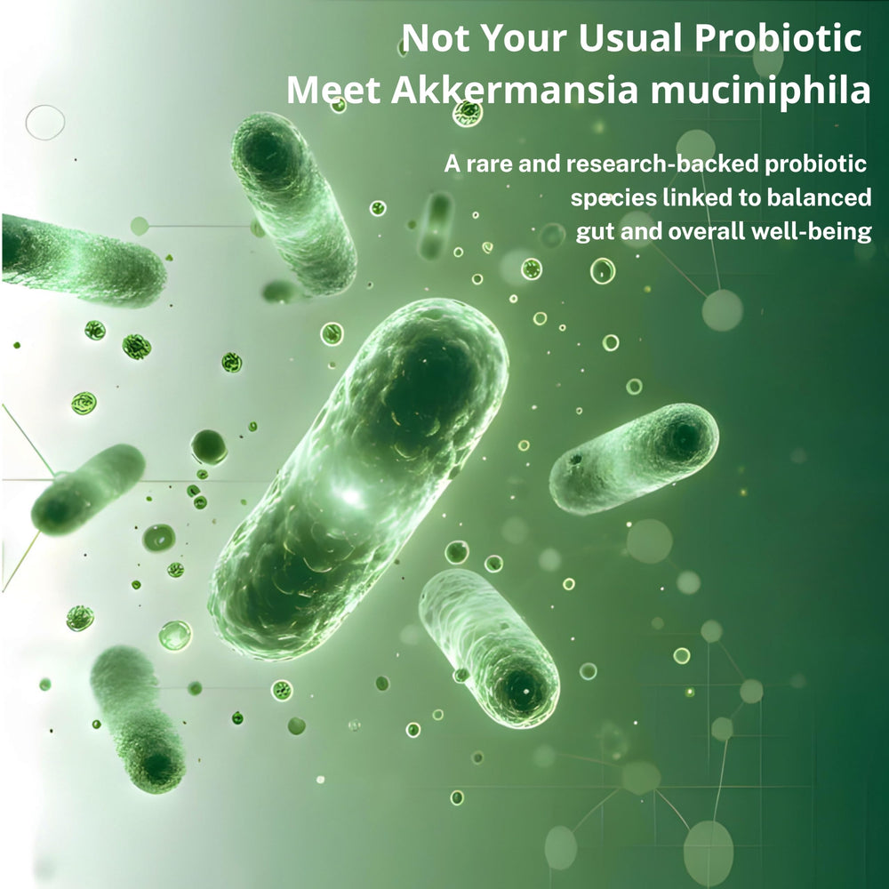 Duvera delayed-release capsules delivering probiotics to the gut.