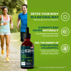 E2H Chlorophyll Liquid Drops dropper pouring into water for convenient greens habit.