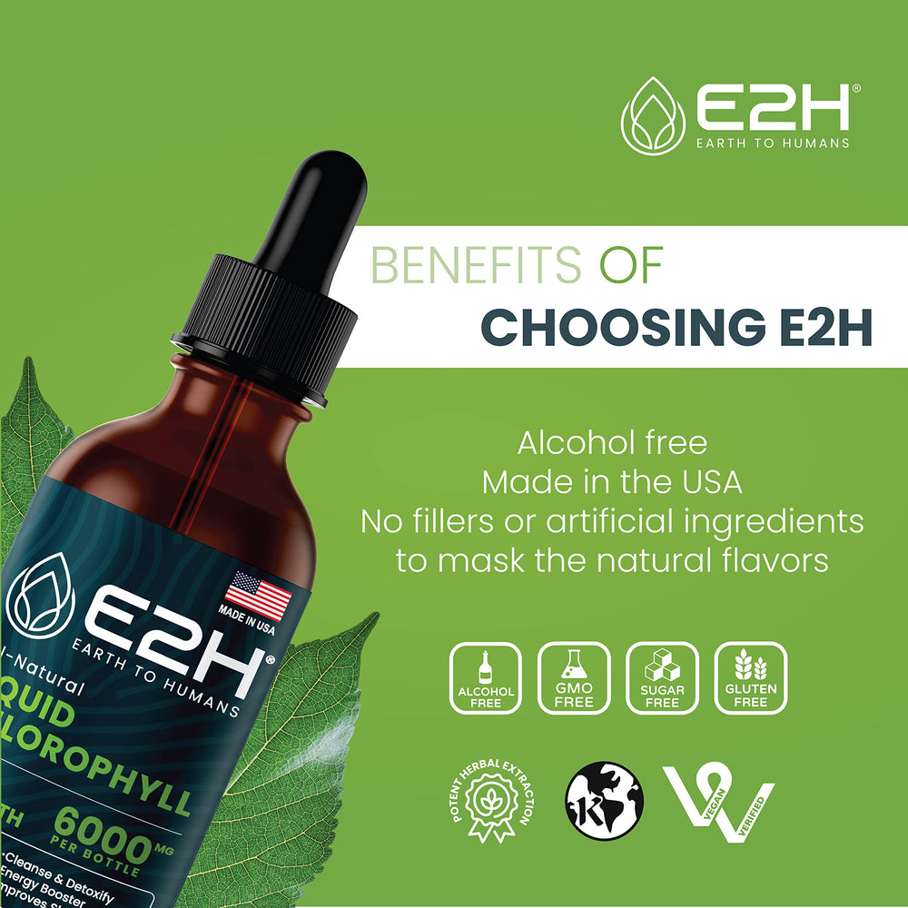 E2H Chlorophyll Liquid Drops stirred into tea for a flavor-enhanced routine.