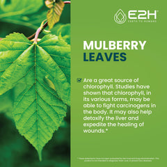 E2H Chlorophyll Liquid Drops in a glass of water for easy daily greens.