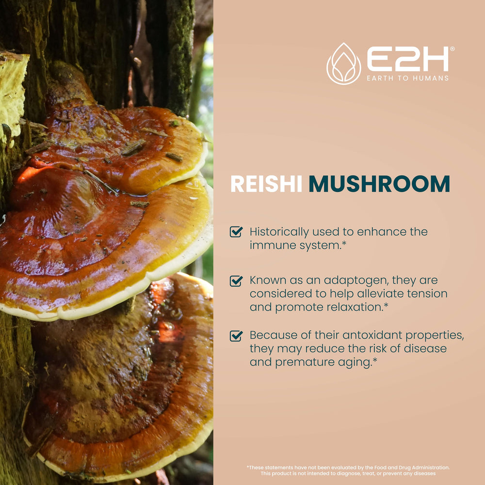 E2H Reishi tincture droplets show fast absorption potential.