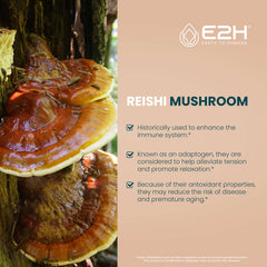E2H Reishi tincture droplets show fast absorption potential.