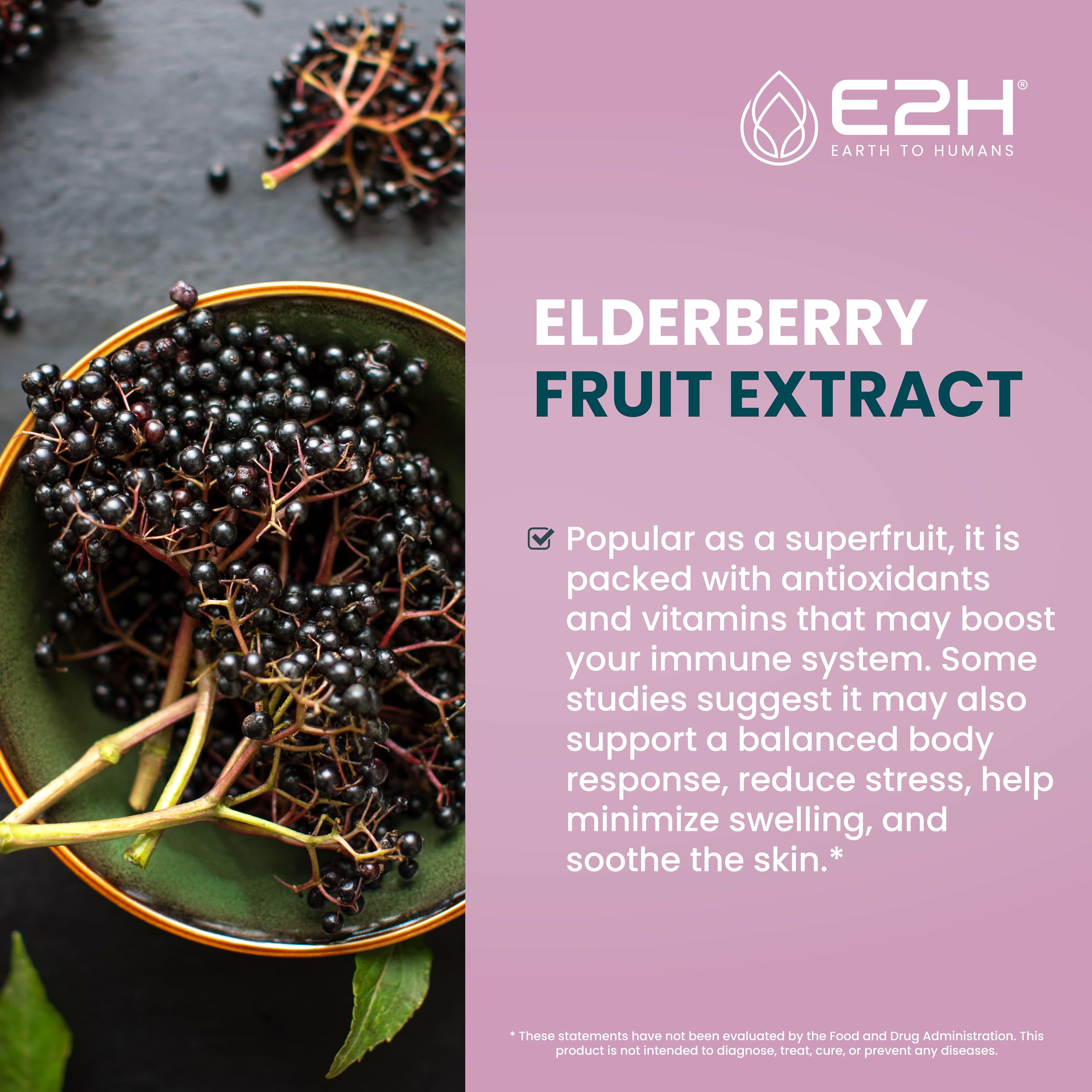 E2H Elderberry Syrup dropper bottle for easy dosing.