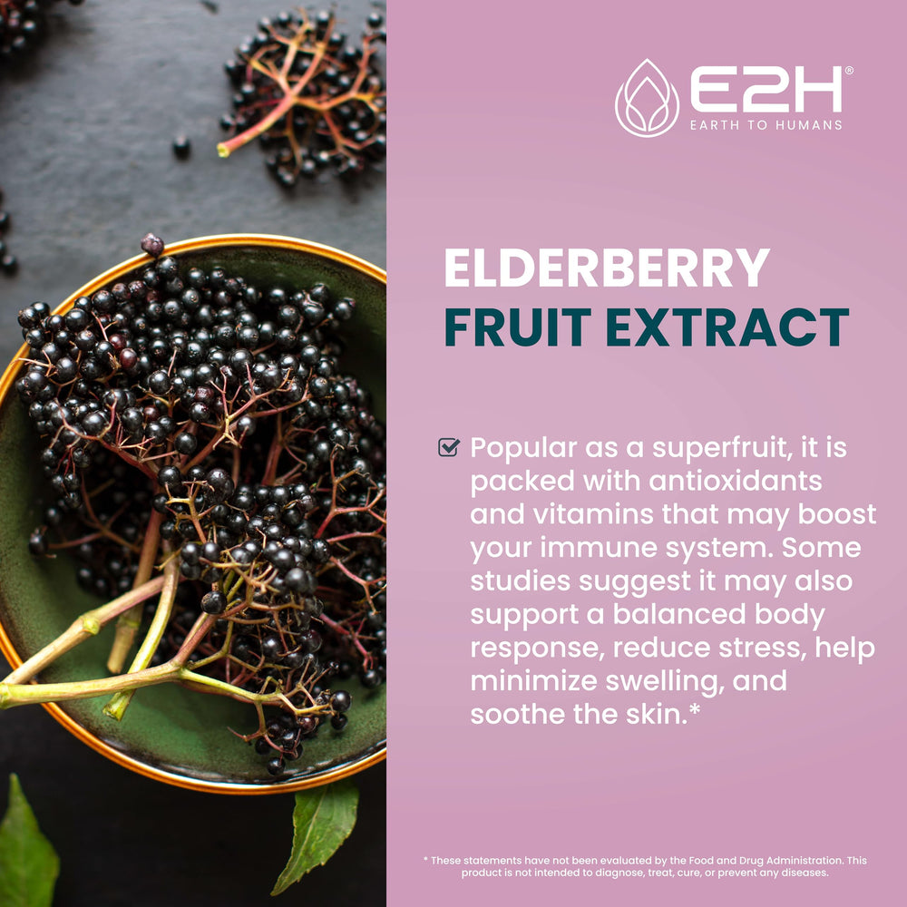 E2H Elderberry Syrup dropper bottle for easy dosing.