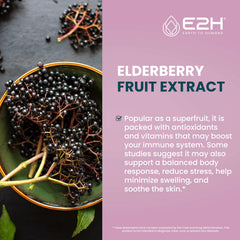 E2H Elderberry Syrup dropper bottle for easy dosing.