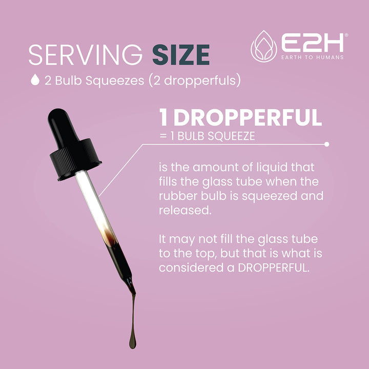 E2H Elderberry Syrup USA GMP facility background.