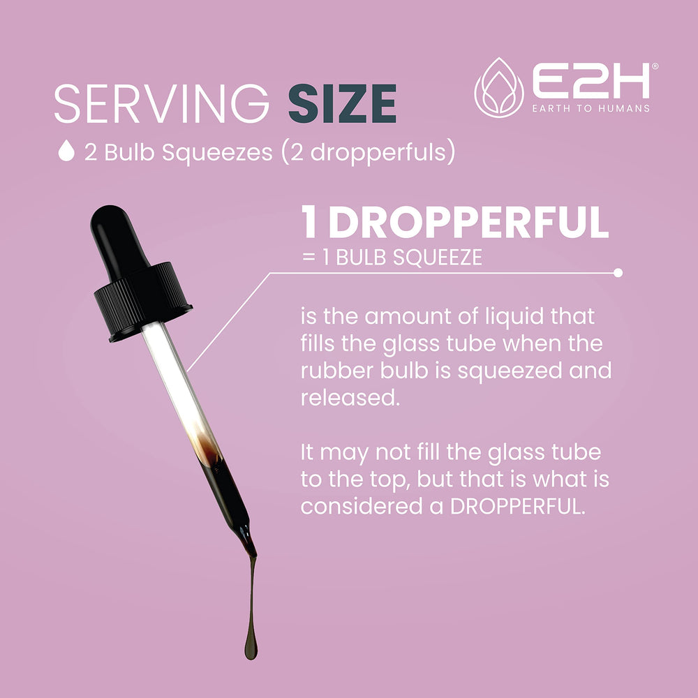 E2H Elderberry Syrup USA GMP facility background.