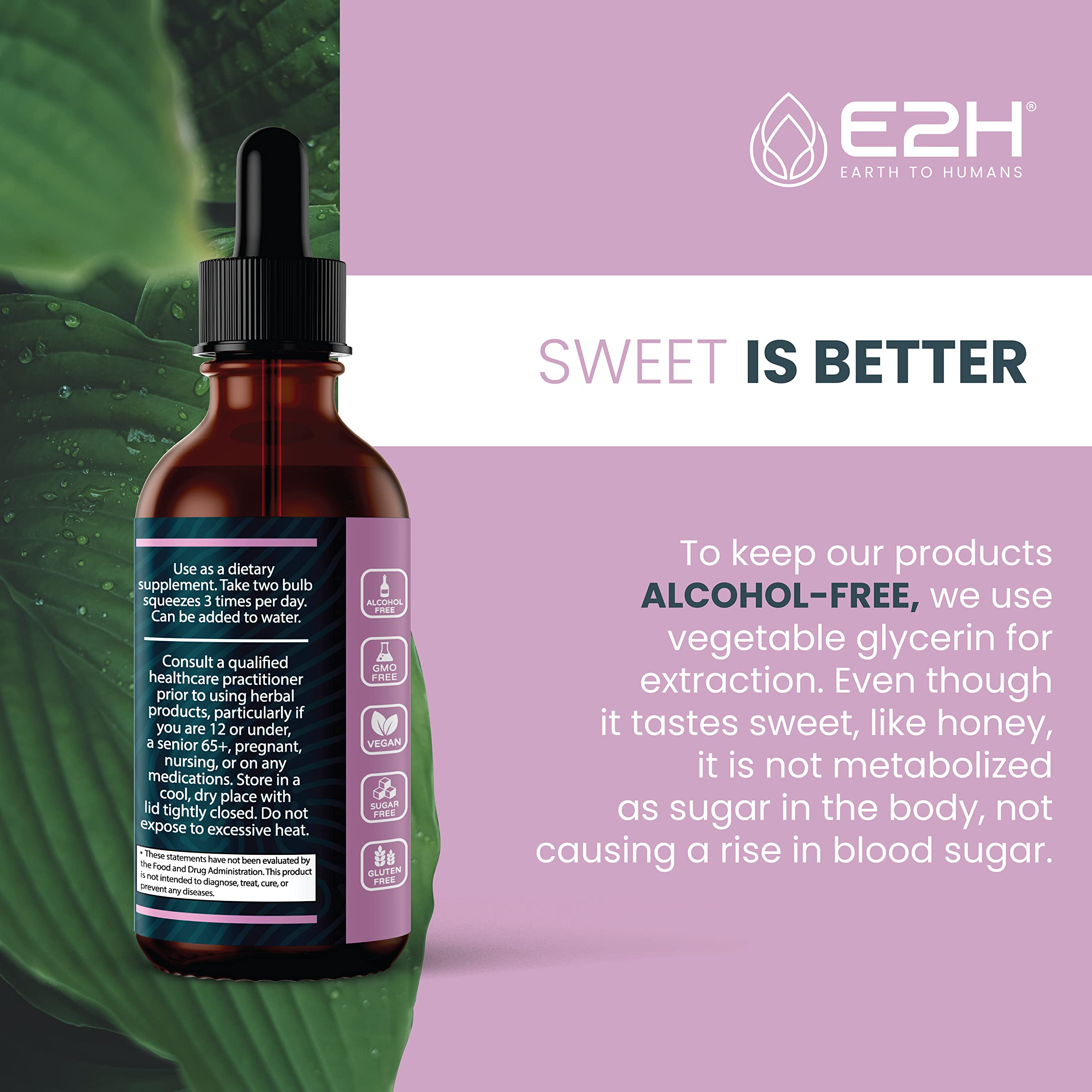E2H Elderberry Syrup label, gluten-free and vegan-friendly.