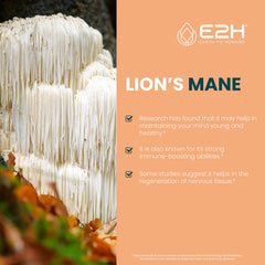 E2H Lions Mane liquid label closeup highlights ingredients and usage guidance.