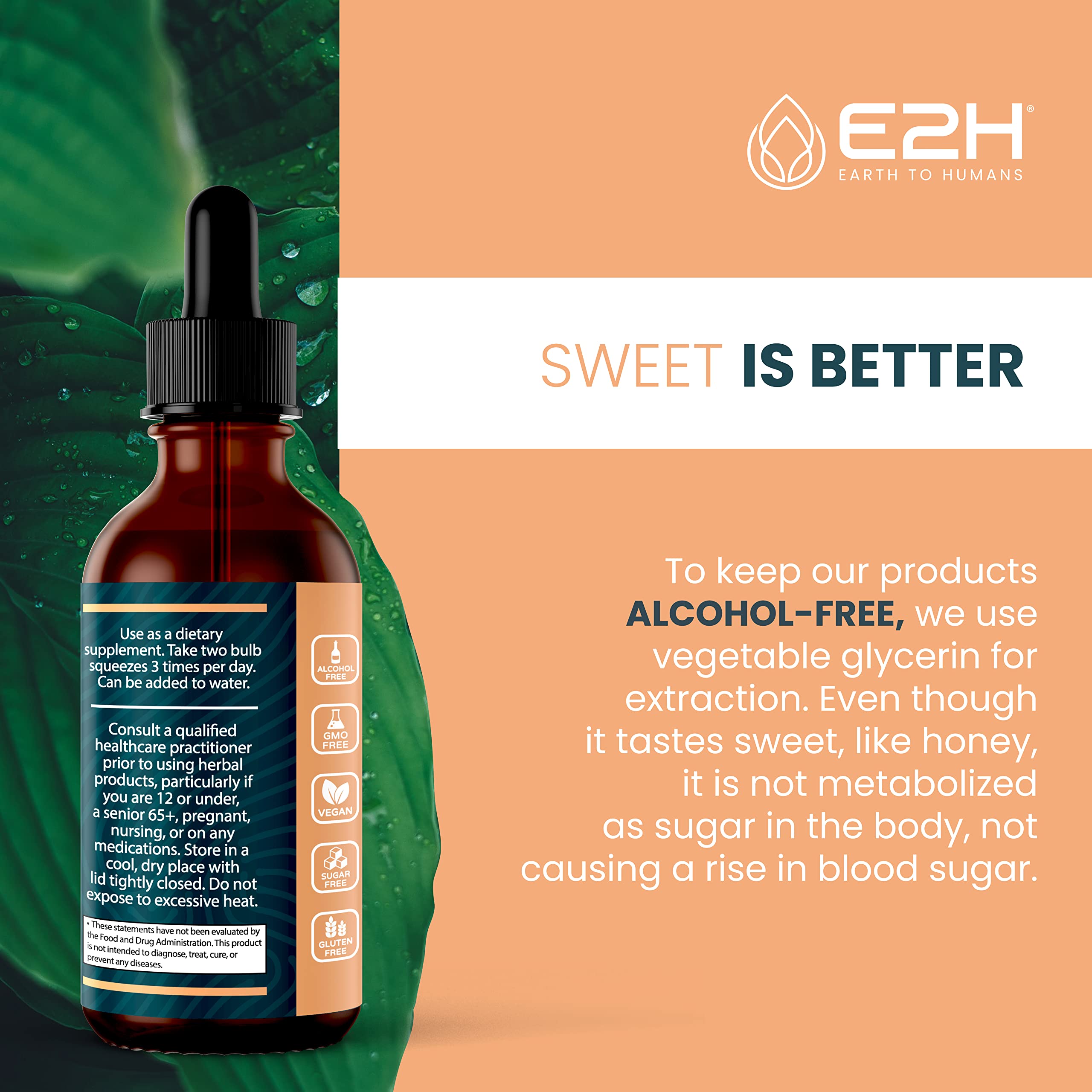 E2H Lions Mane tincture serving with dropper for convenient daily ritual.