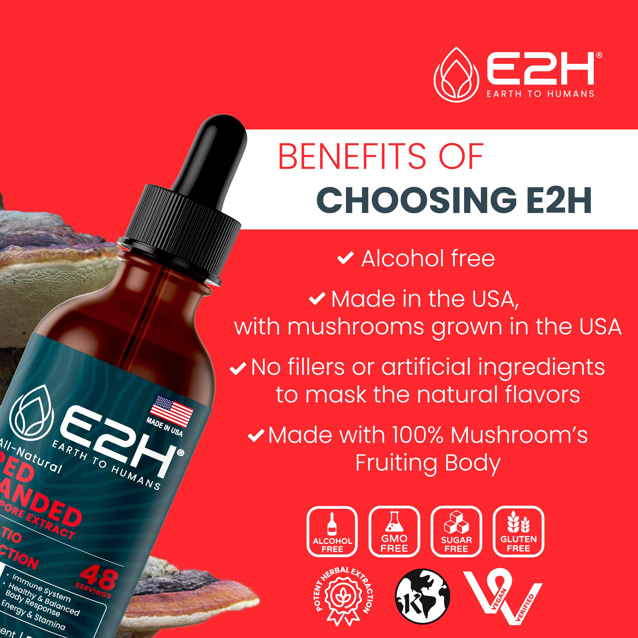 E2H Red Banded Polypore Extract close-up shows mushroom texture and natural extract focus.
