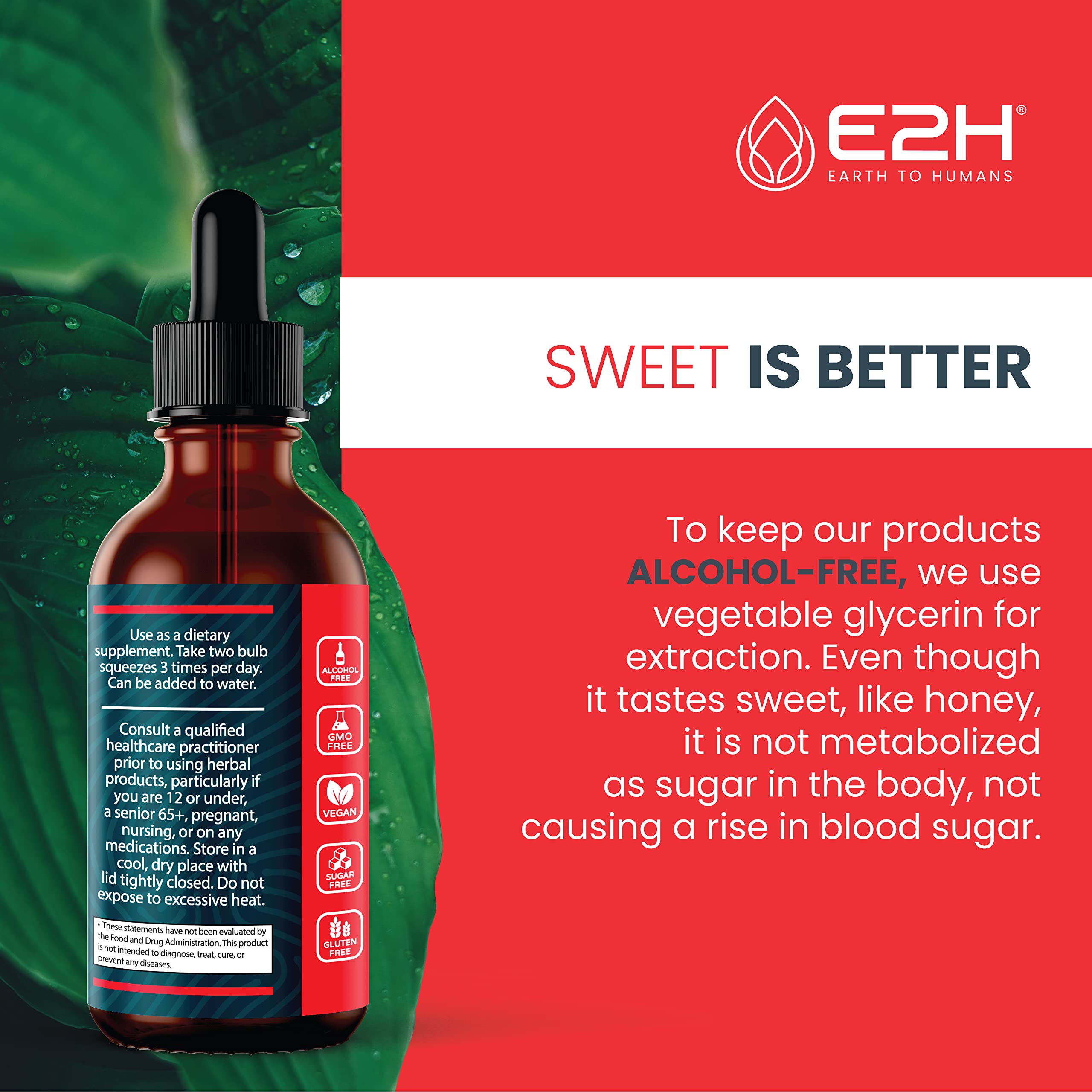 E2H Red Banded Polypore Extract shelf display with two bottles.