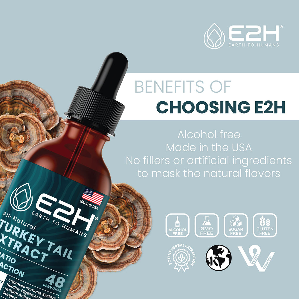 E2H Turkey Tail drops on a spoon showing convenient dosage option.