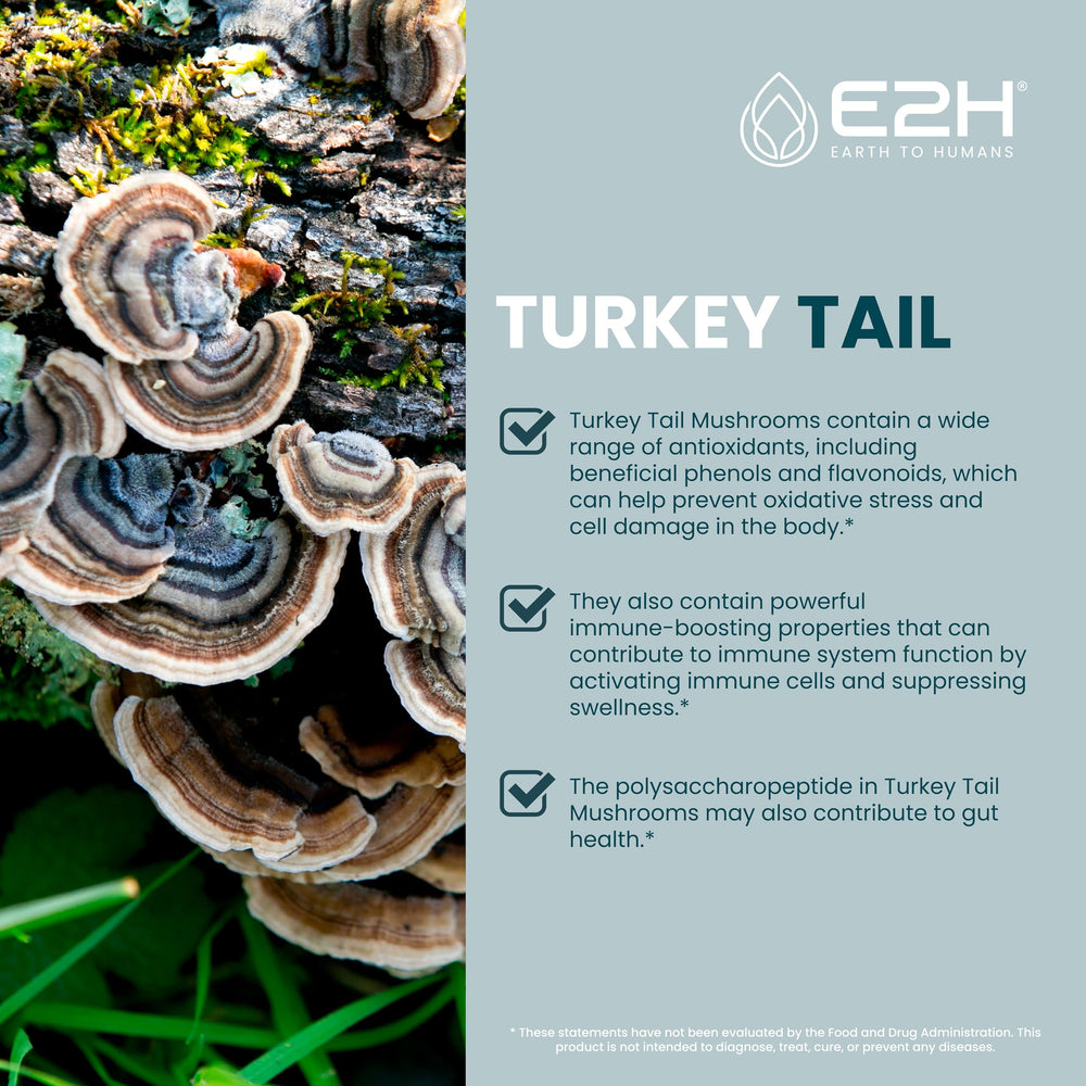 Close-up of E2H Turkey Tail label on the extract bottle for trusted quality.