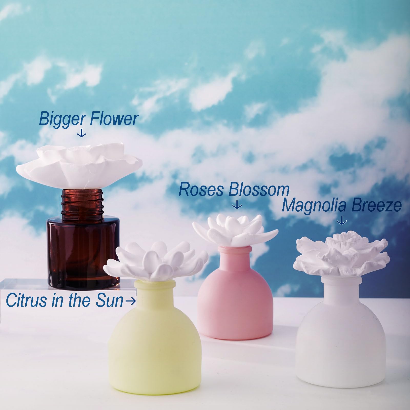 Decorative yet functional, enhances everyday spaces with aromatic ambiance