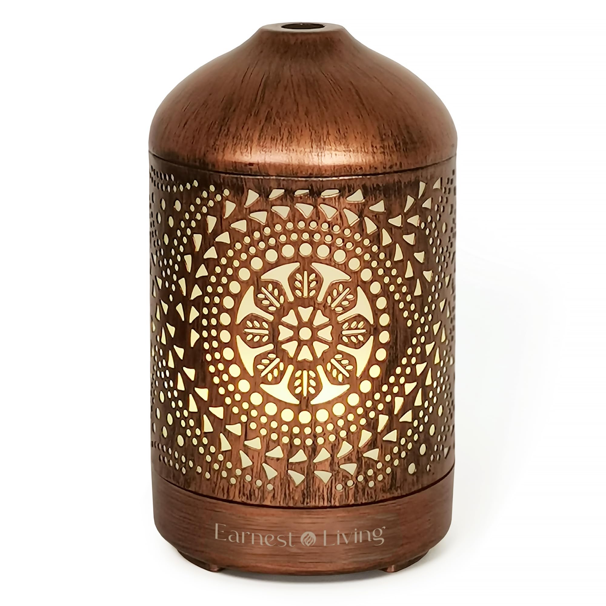 Earnest Living 100 ml diffuser provides gentle aromatherapy mist for living spaces.