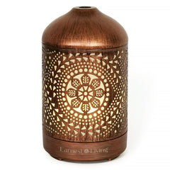 Earnest Living 100 ml diffuser provides gentle aromatherapy mist for living spaces.
