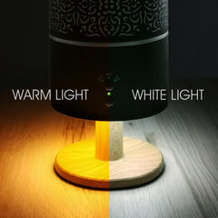 Earnest Living diffuser with lamp night-light for cozy room ambiance