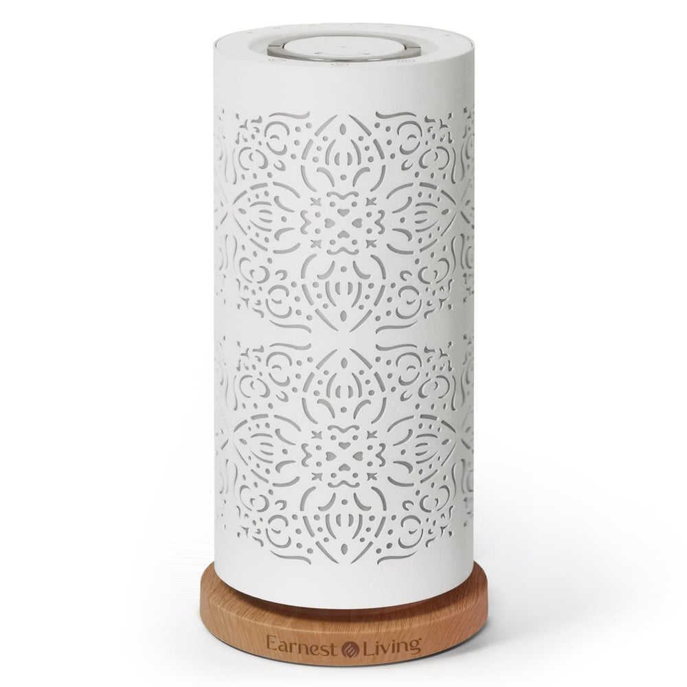 Earnest Living waterless diffuser 100ml with sculpted metal shell for elegant room scent.