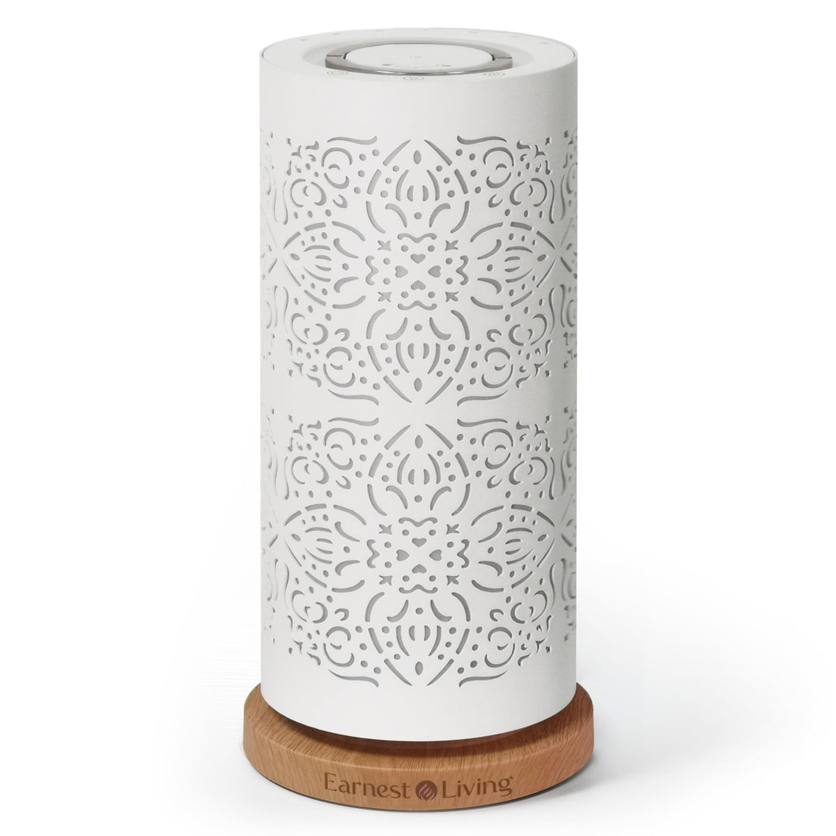 Earnest Living waterless diffuser 100ml with sculpted metal shell for elegant room scent.