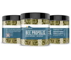 Earthborn Elements Bee Propolis natural sourcing illustration by bees