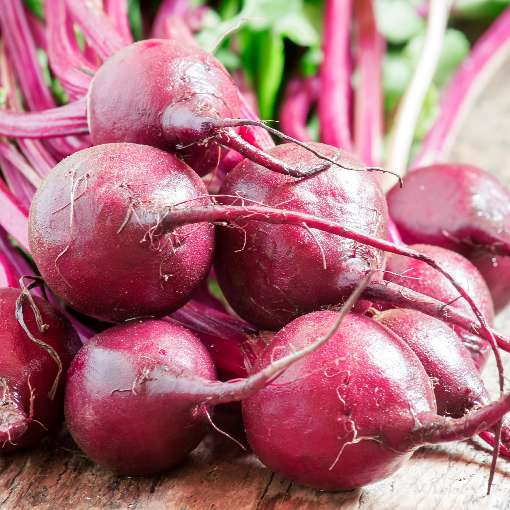 Earthborn Elements Beet Root capsules daily-use scene demonstrates convenience in routine.