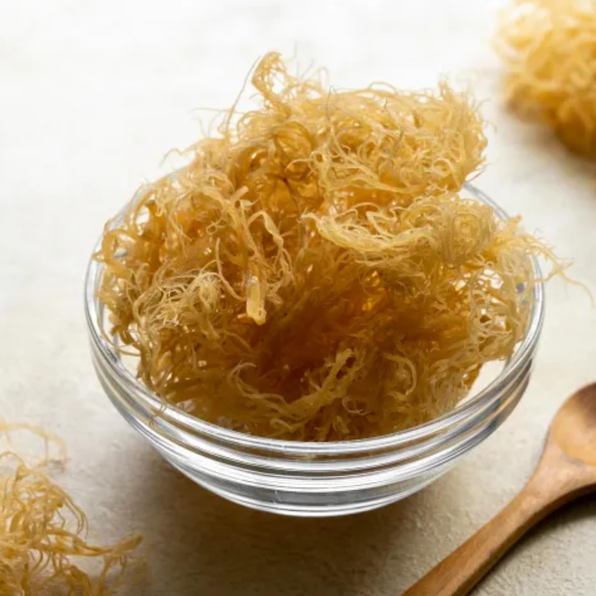 Irish Sea Moss ingredients closeup highlights Irish Sea Moss (Chondrus crispus) source.