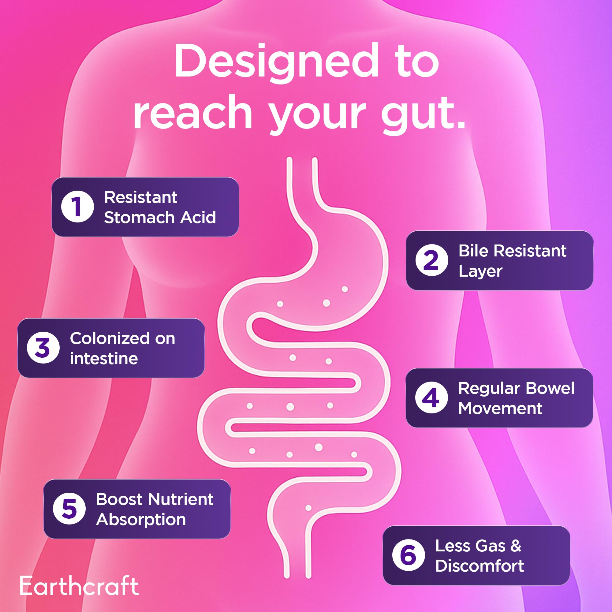 Earthcraft Probiotics prebiotic blend with FOS and Inulin for microbiome support.