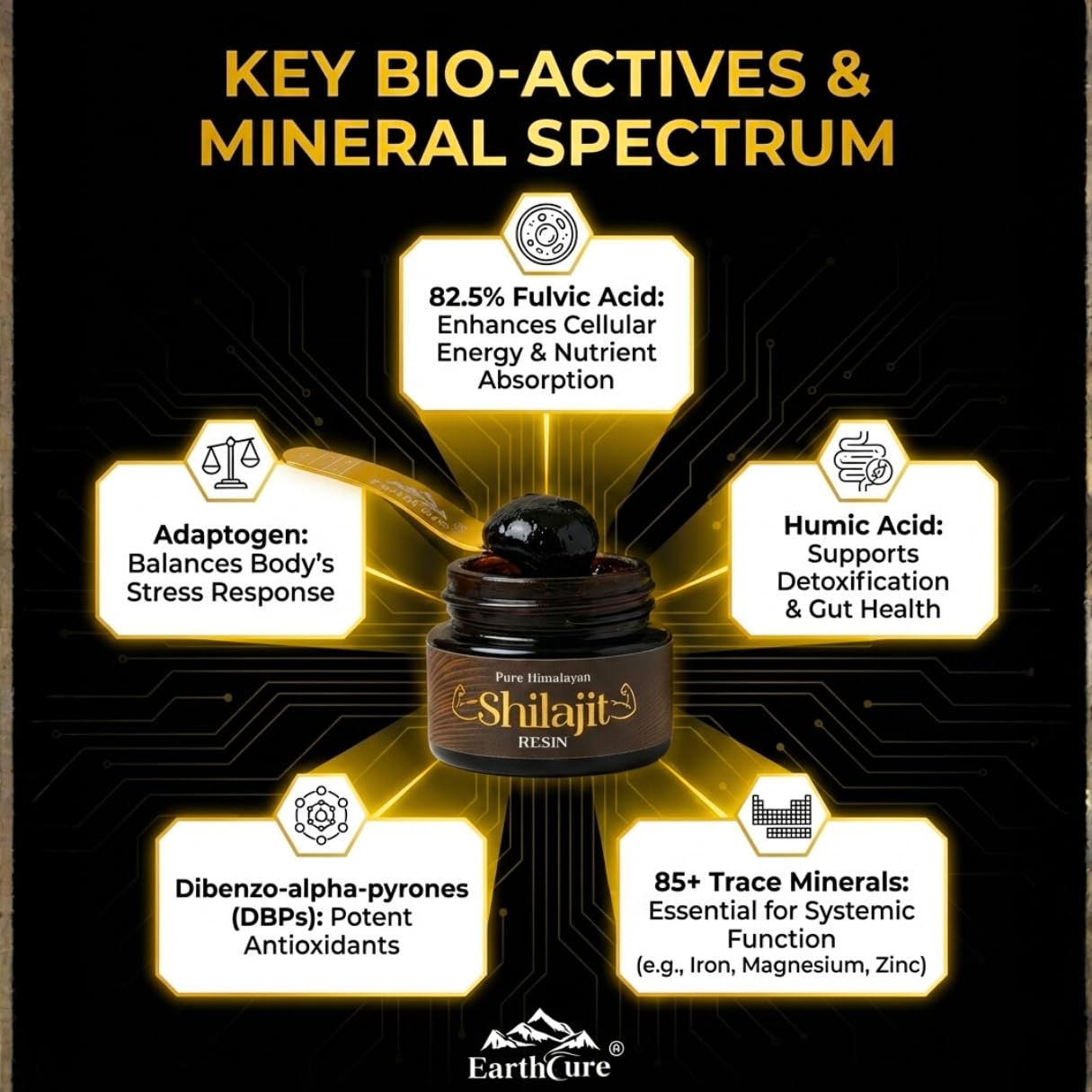 EarthCure Shilajit Resin measuring spoon included for precise dosing.