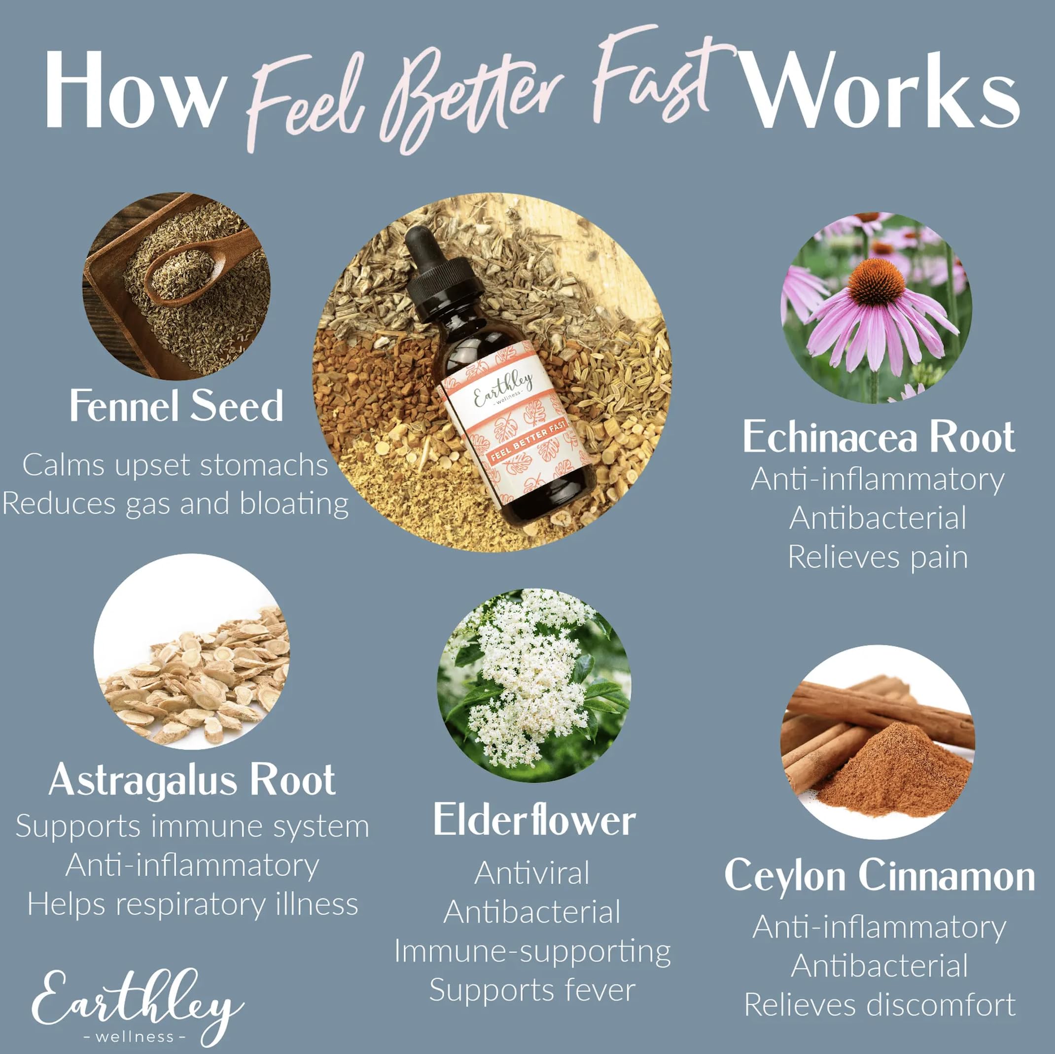 Earthley Wellness Feel Better Fast on kitchen shelf, ready for quick, everyday relief.