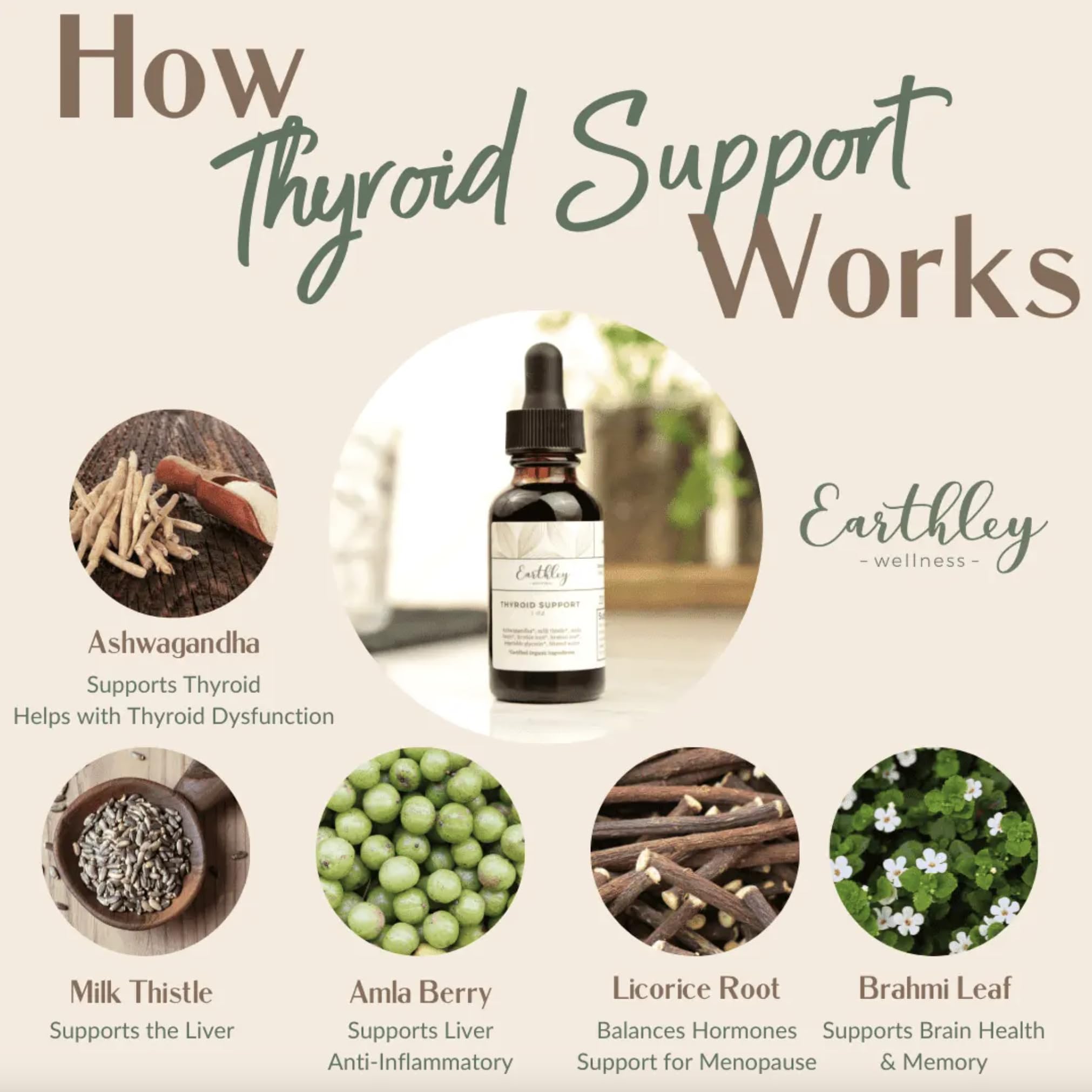 Earthley Wellness tincture dropper releasing daily drops for mood support