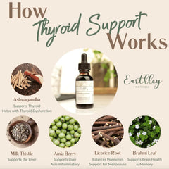Earthley Wellness tincture dropper releasing daily drops for mood support