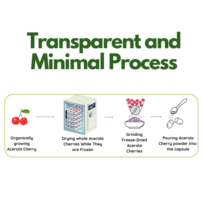 EAT INTACT organic capsules highlight clean, plant-based nutrition.