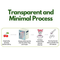 EAT INTACT organic capsules highlight clean, plant-based nutrition.